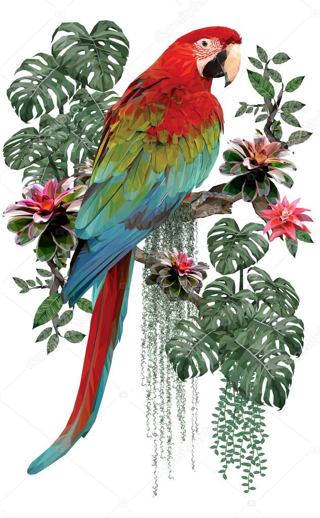 Polygonal illustration of Green winged macaw bird and amazon forest plants with white background.