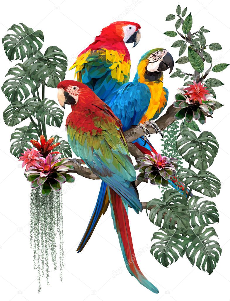Polygonal illustration of macaw birds and amazon forest plants with white background.
