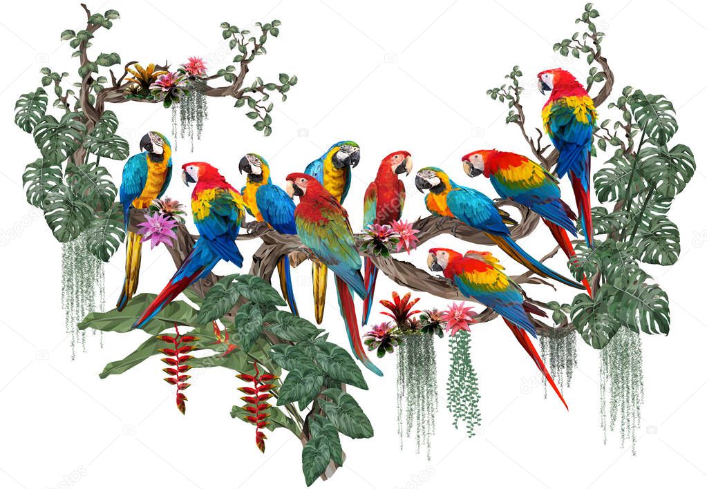 Polygonal illustration of macaw birds and amazon forest plants with white background.