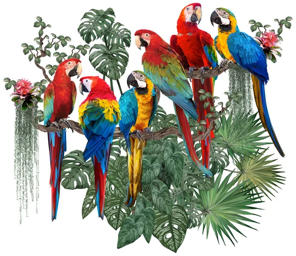 Πολυγωνική Απεικόνιση Πουλιών Μακάο Και Φυτών Του Δάσους Των Αμαζόνων — Φωτογραφία Αρχείου