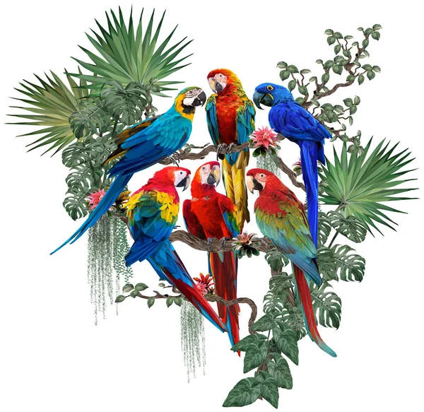 Polygonální Ilustrace Ptáků Macaw Amazonských Lesních Rostlin Bílým Pozadím — Stock fotografie