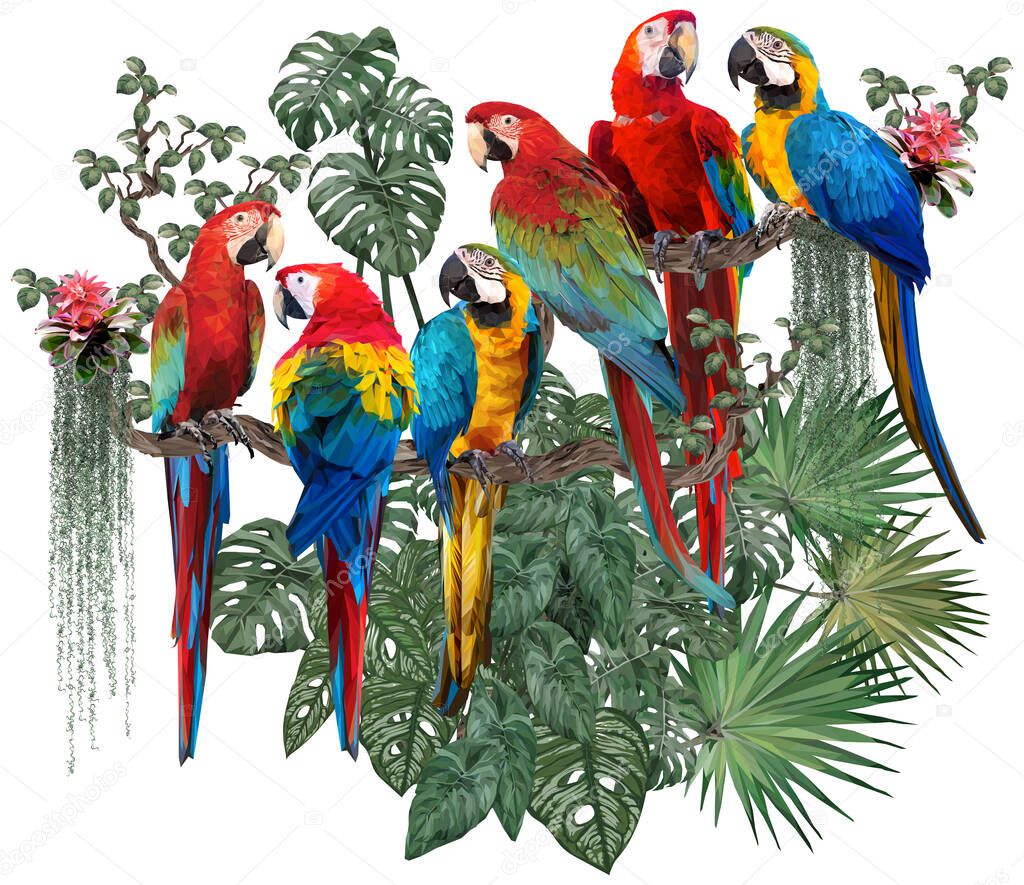 Polygonal illustration of macaw birds and amazon forest plants with white background.