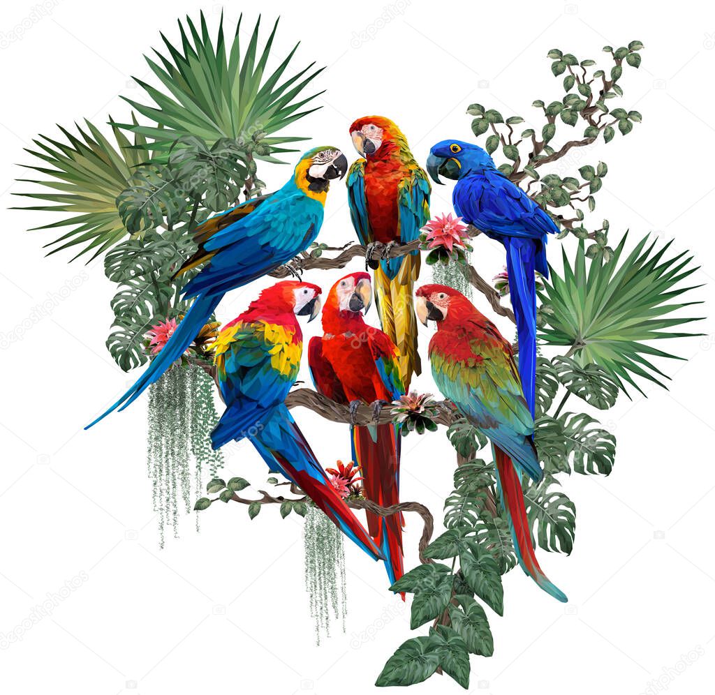 Polygonal illustration of macaw birds and amazon forest plants with white background.