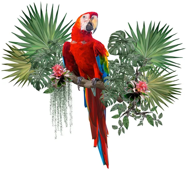 Dibujo Ilustrado Poligonal Vectorial Pájaro Guacamayo Escarlata Con Plantas Selva — Vector de stock