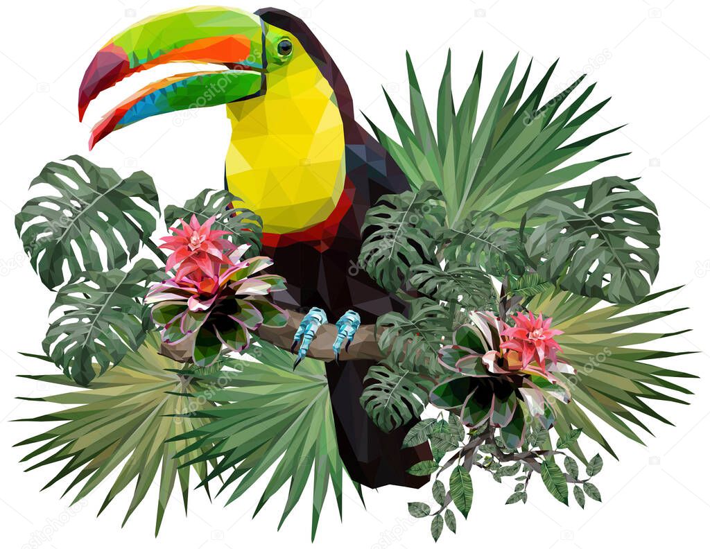 Vector Polygonal illustration of toucan bird and amazon forest plants with white background.