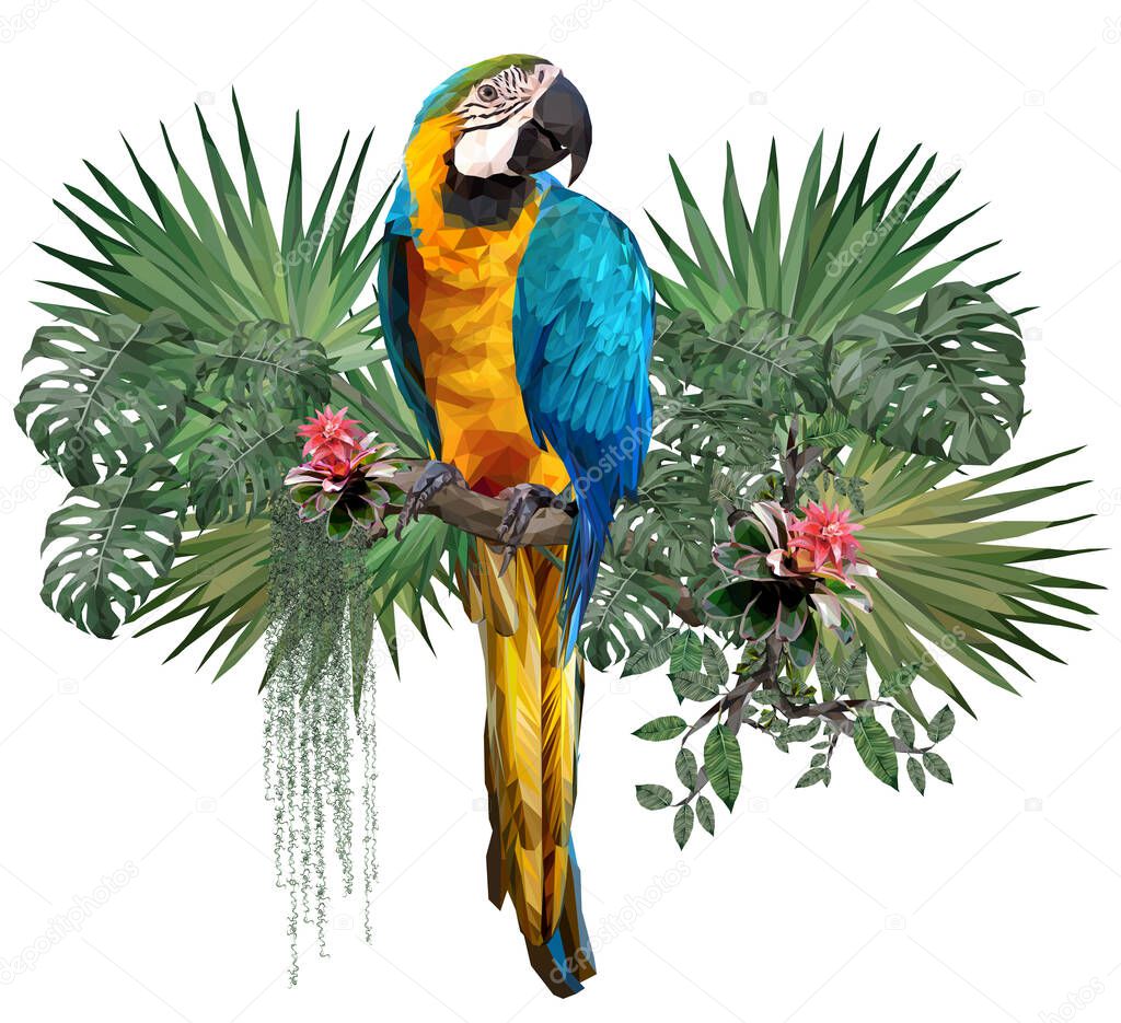 Vector polygonal of Blue and gold macaw bird with Amazon forest plants in white background.