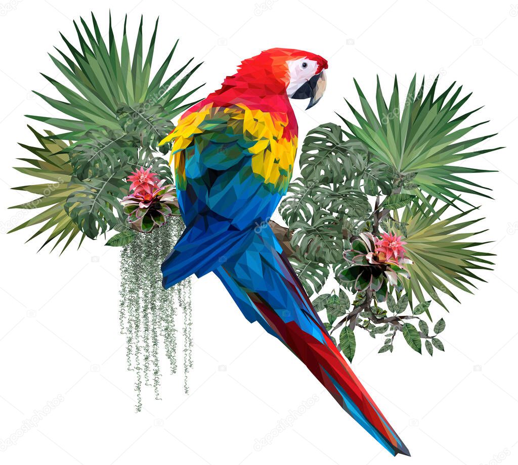 Vector polygonal illustrate drawing of Scarlet macaw bird with Amazon forest plants in white background.