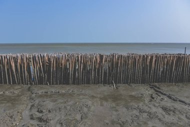 Bambu deniz dalgası koruma duvarı açık hava güneş ışığı ve kıyı şeridi ile.