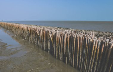 Bambu deniz dalgası koruma duvarı açık hava güneş ışığı ve kıyı şeridi ile.
