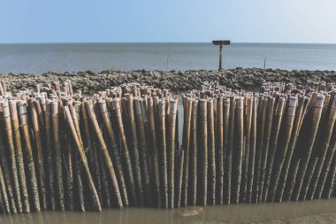 Bambu deniz dalgası koruma duvarı açık hava güneş ışığı ve kıyı şeridi ile.