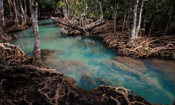 Clear Emerald Waterway Tropical Forest Thailand Lowlighting Dark Shadow — Stock Photo, Image