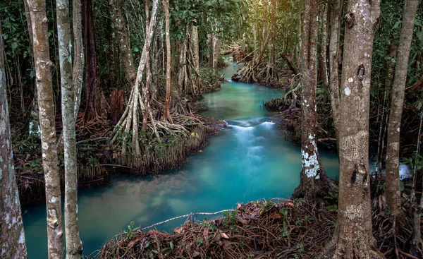 Clear Emerald Waterway Tropical Forest Thailand Lowlighting Dark Shadow — Stock Photo, Image