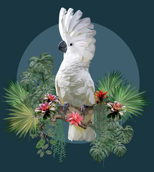 Illustrazione Poligonale Delle Piante Umbrella Cockatoo Amazzonia — Vettoriale Stock