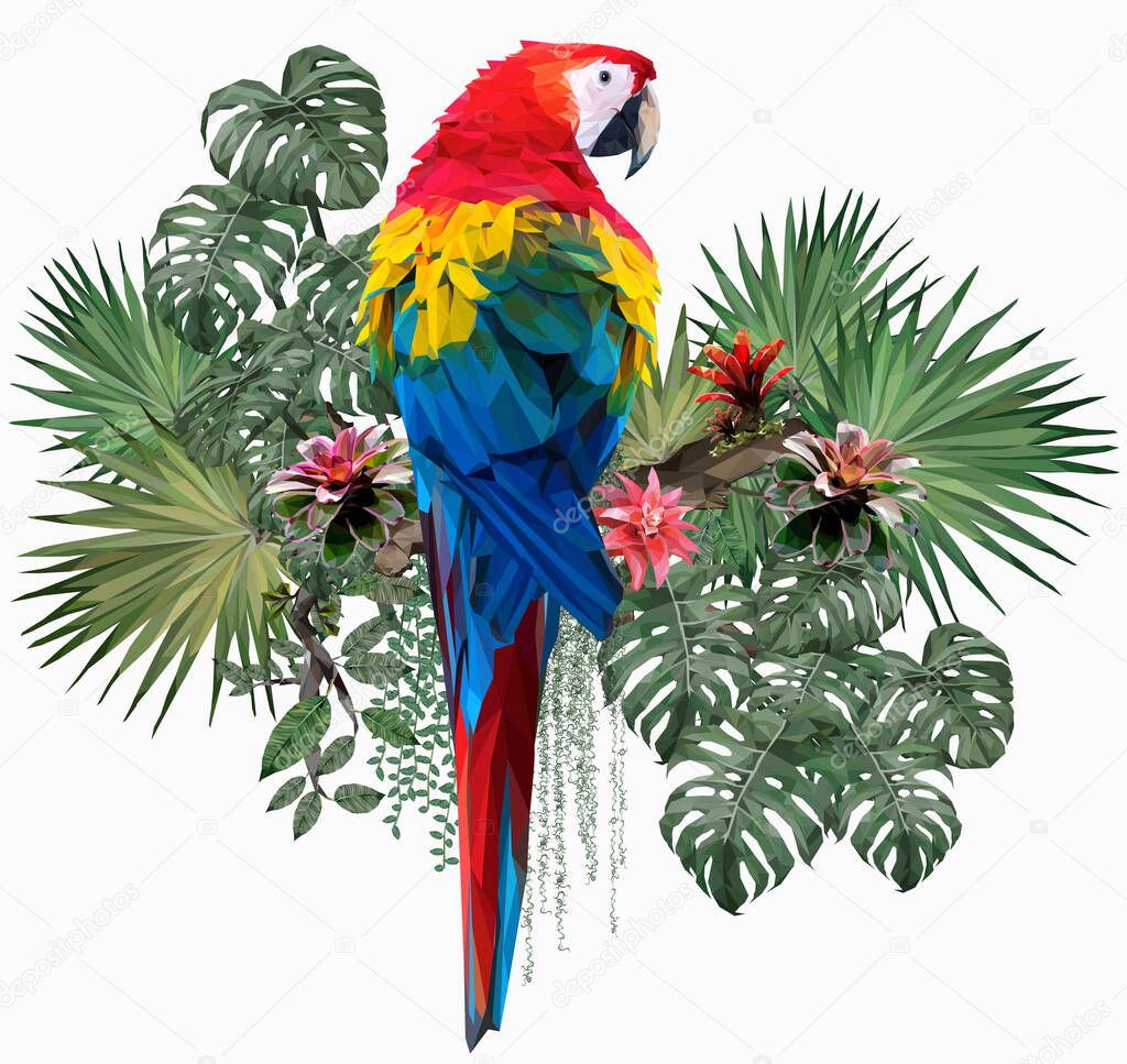 Polygonal Illustration Scarlet macaw bird with Amazon leafs.