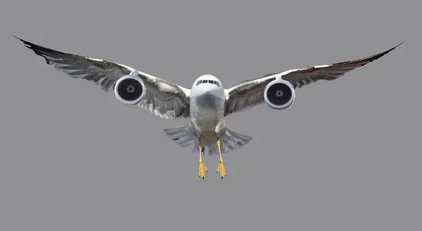 Άντληση Θέμα Πουλιά Και Αεροπλάνα — Φωτογραφία Αρχείου