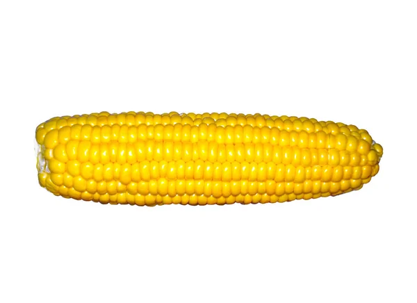 Ухо Кукурузы Белом Фоне — стоковое фото