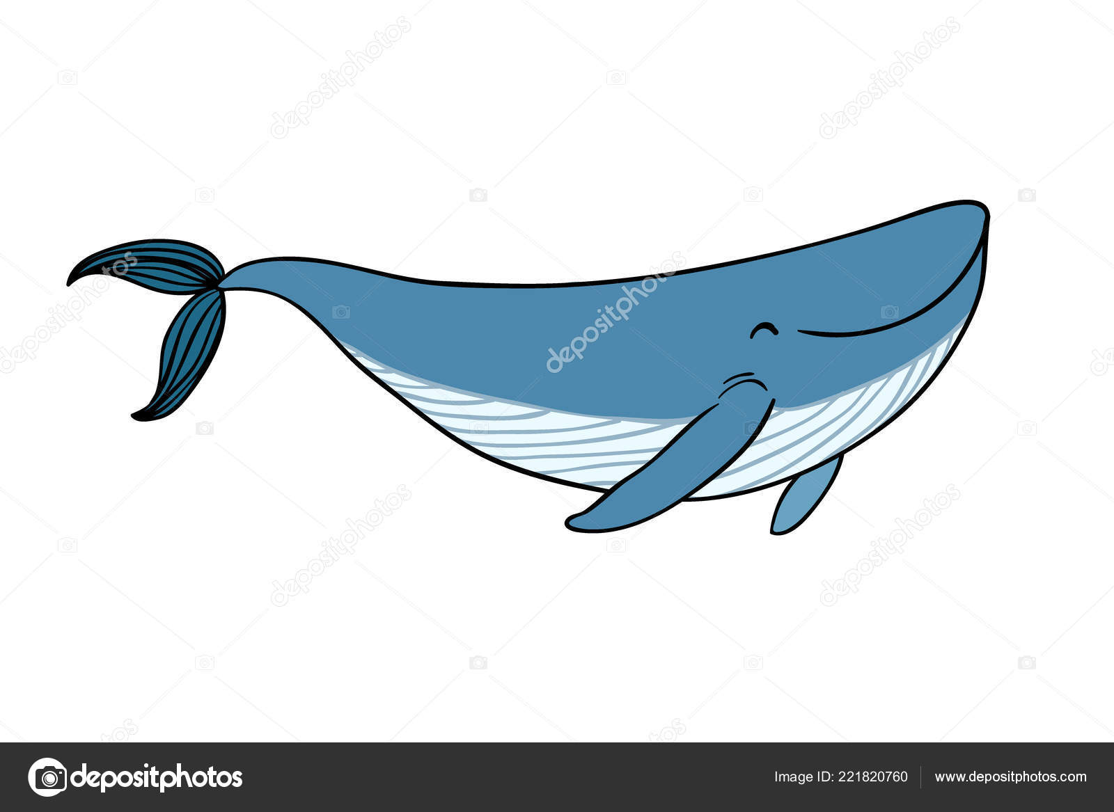 小卡通鲸鱼漂亮的小鱼海的动物图库矢量图©Natasha_Chetkova 221820760