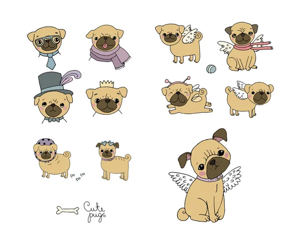 Conjunto de pugs pequenos. Animais giros. Ilustrações vetoriais —  Vetores de Stock