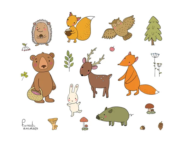 Animais da floresta. Conjunto com ursos de desenhos animados bonitos, raposa, lebre e esquilo, coruja e veado. Projeto para crianças - Vetor —  Vetores de Stock