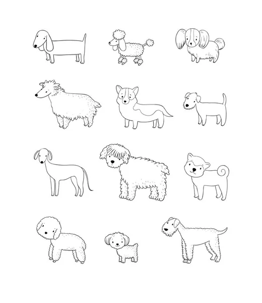 Sbírka psů. Roztomilé kreslené štěňátka různého plemene-vektor — Stockový vektor