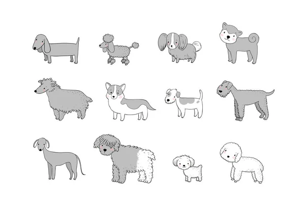 Honden collectie. Schattige cartoon puppies van verschillende rassen-vector — Stockvector