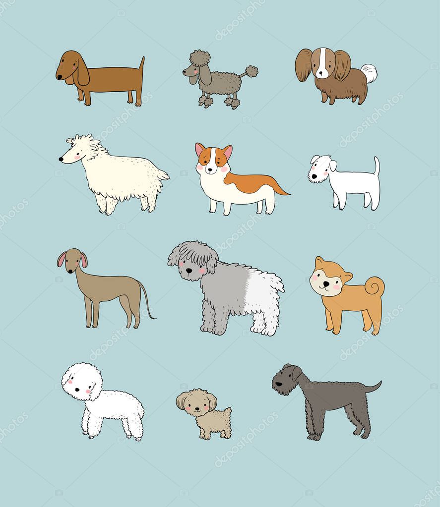 Dogs collection. Cute cartoon puppies of different breeds - Vector illustration