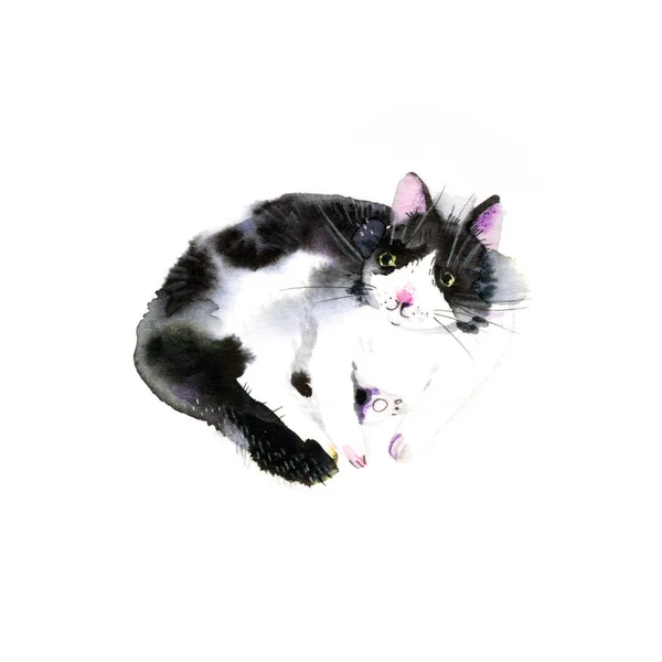 Cute watercolor cat on a white background. Hands drawn kitten illustration - — Stock Photo, Image
