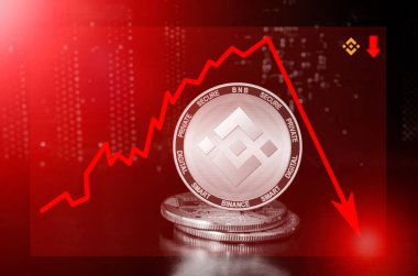 Binance Sikkesi kripto değer düşüşü; binans fiyatı düşüşü