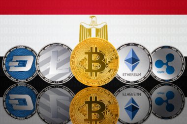 Mısır bayrağının arka planında kripto para birimleri. Bitcoin (BTC), Litecoin (LTC), Ethereum (ETH), Ripple (XRP), DASH