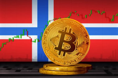 Bitcoin Norveç; bitcoin (BTC) Norveç bayrağının arka planında