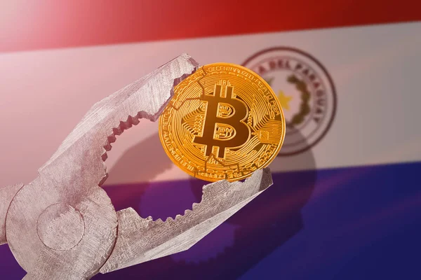 Bitcoin Regulation Paraguay Bitcoin Btc Coin Being Squeezed Vice Paraguay — Stock Photo, Image