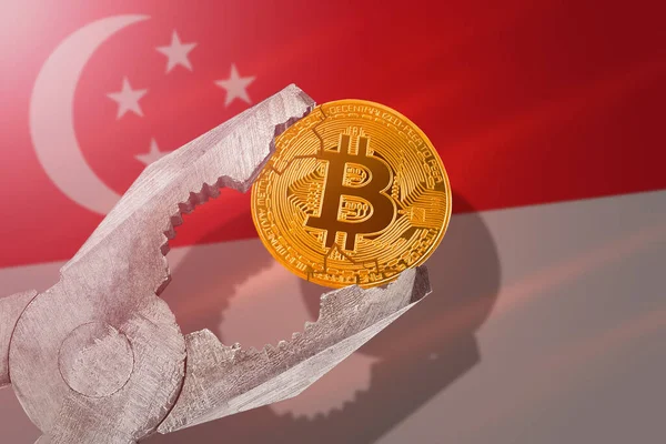 Singapur 'da Bitcoin düzenlemesi; Singapur bayrağının arka planında sıkılmış bitcoin btc madeni para; sınırlama, yasaklama, yasadışı, yasaklanmış