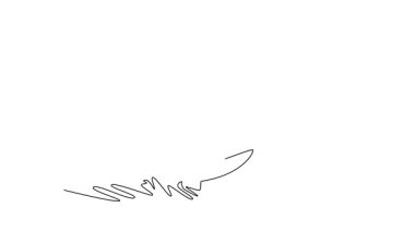 Sürekli çizgilerin animasyon halinde çizimi, sporcunun rüzgar sörfü yaparken geniş bir dalgada geriye bakmasını sağlıyor. Atletik beceri, denge, kontrol rüzgar ve okyanusun enerjik gücü. Tam uzunluktaki tek çizgi canlandırması