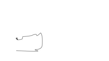 Animated self drawing of continuous line draw two people in dynamic Capoeira partnership, with one in low stance, the other in high bridge pose, fluidity of martial art. Full length one line animation