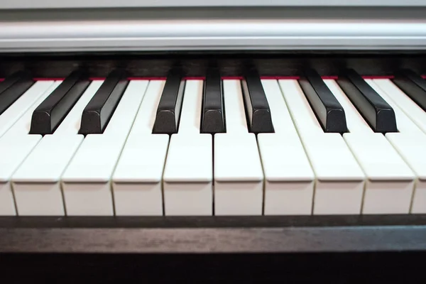 Piano keyboard close up. Elements of musical instrument. Lines and black and white colors of piano keyboard.