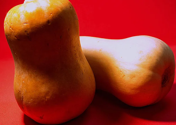 赤い背景の上の つのオレンジ カボチャ 休日のシンボルとして野菜 — ストック写真