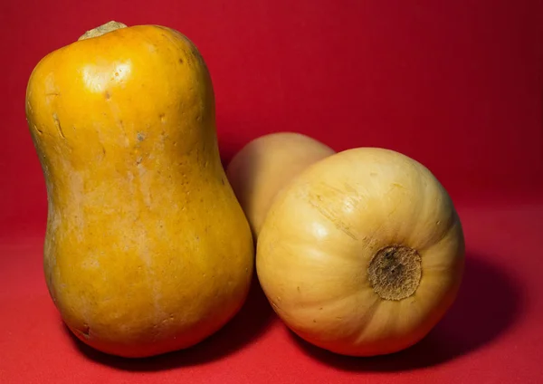 Dos Calabazas Naranjas Sobre Fondo Rojo Las Verduras Como Símbolos — Foto de Stock