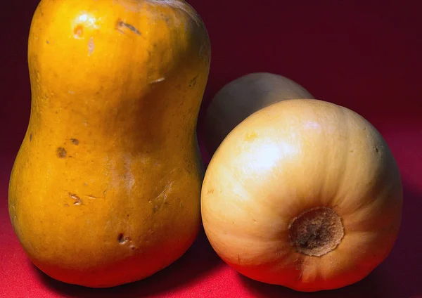 Dos Calabazas Naranjas Sobre Fondo Rojo Las Verduras Como Símbolos — Foto de Stock