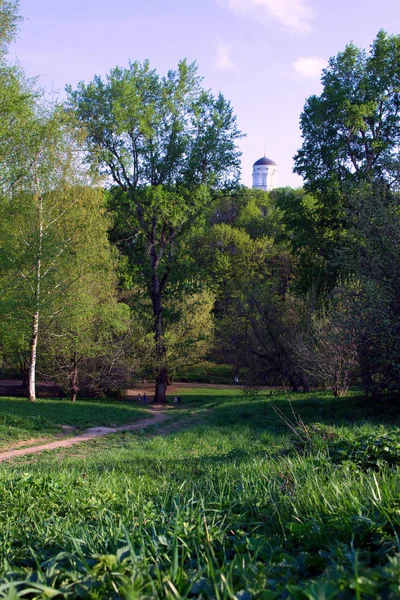 Dôme Église Dessus Des Arbres Vieux Parc Moscou Paysage Avec — Photo