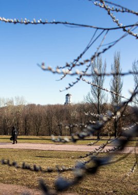 Bir kubbe ile çapraz erken ilkbaharda ağaçların arasından eski bir kilise. Manzara Kolomenskoye Park Moskova'da. Rusya'nın dini mimari.