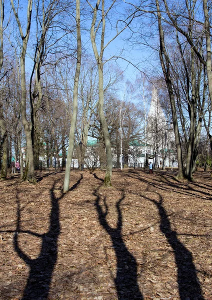 Vroege Voorjaar Landschap Lange Schaduwen Van Bomen Kolomenskoye Park Het — Stockfoto