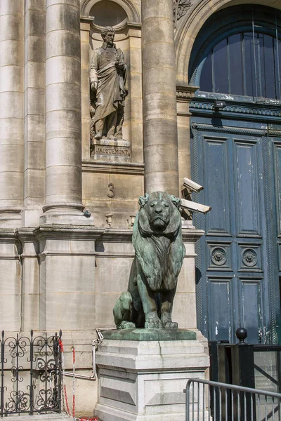 Lion Sculpture Door Ingang Van Het Historisch Gebouw Parijs Monumenten — Stockfoto