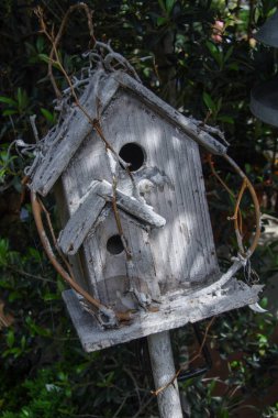 Dekoratif Kuş evini kapat. 
