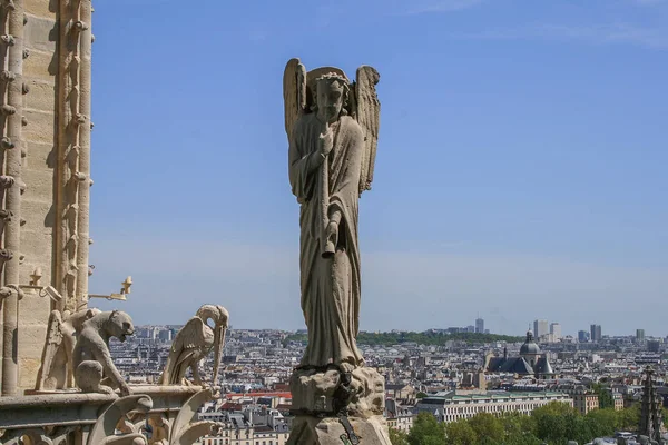 雕塑的天使的巴黎圣母院大教堂的屋顶上 — 图库照片