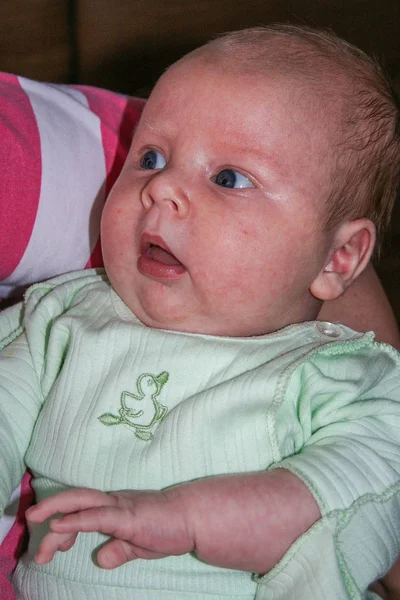 Newborn boy portrait — Stock Photo, Image