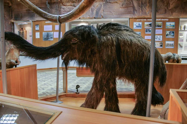 2018 Yakutsk Rusia Interior Del Museo Nacional Yakutsk Pequeño Mamut —  Fotos de Stock