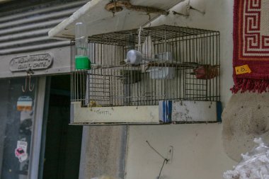 09.20.2008, Hersonissos, Girit, Yunanistan. Bir kafes bir kuş duvarda. Eski bir kafes ile evde beslenen hayvan. 