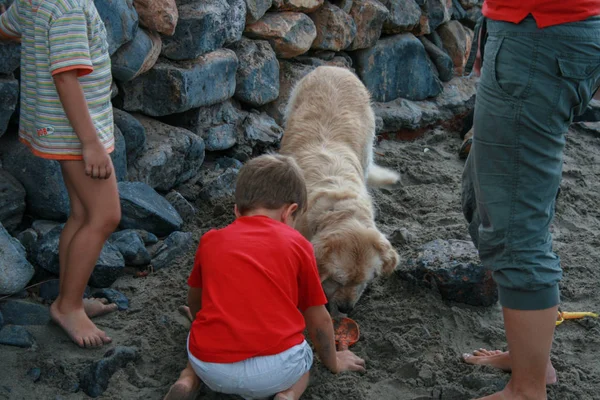 2008 赫索尼索斯 克里特 海滩上的一个民族和他们的狗 — 图库照片