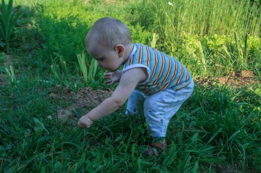2009.07.18, Kaluga, Rusya Federasyonu. Anne ve oğlu yaz günde Bahçe. Küçük çocuk annesi bahçede yardım.