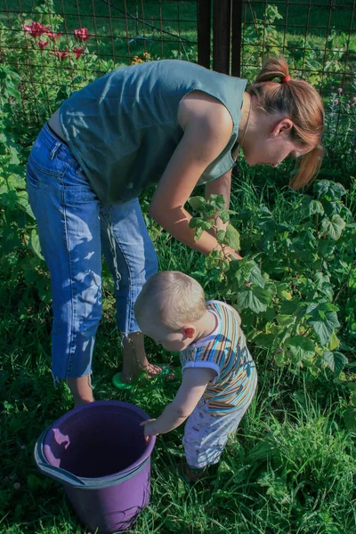 2009 Kaluga Russia Mother Her Son Gardening Summer Day Little — Stock Photo, Image